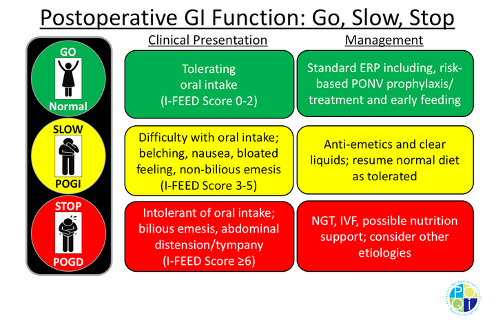 Figure 2. A treatment algorithm was developed based on the I-FEED scoring system for the management of patients with impaired postoperative GI function according to the clinical presentation of the patient in real time. (Abbreviations: POGI - Postoperative GI Intolerance, POGD - Postoperative GI Dysfunction, ERP - enhanced recovery protocol, PONV - postoperative nausea and vomiting, NGT - nasogastric tube, IVF - intravenous fluids) Figure 2. A treatment algorithm was developed based on the I-FEED scoring system for the management of patients with impaired postoperative GI function according to the clinical presentation of the patient in real time. (Abbreviations: POGI - Postoperative GI Intolerance, POGD - Postoperative GI Dysfunction, ERP - enhanced recovery protocol, PONV - postoperative nausea and vomiting, NGT - nasogastric tube, IVF - intravenous fluids)