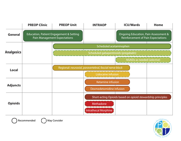 POQI 8 Figure 2 Comprehensive multimodal analgesic plan 1