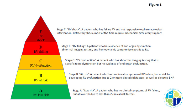 POQI 9 Right Ventricular Function